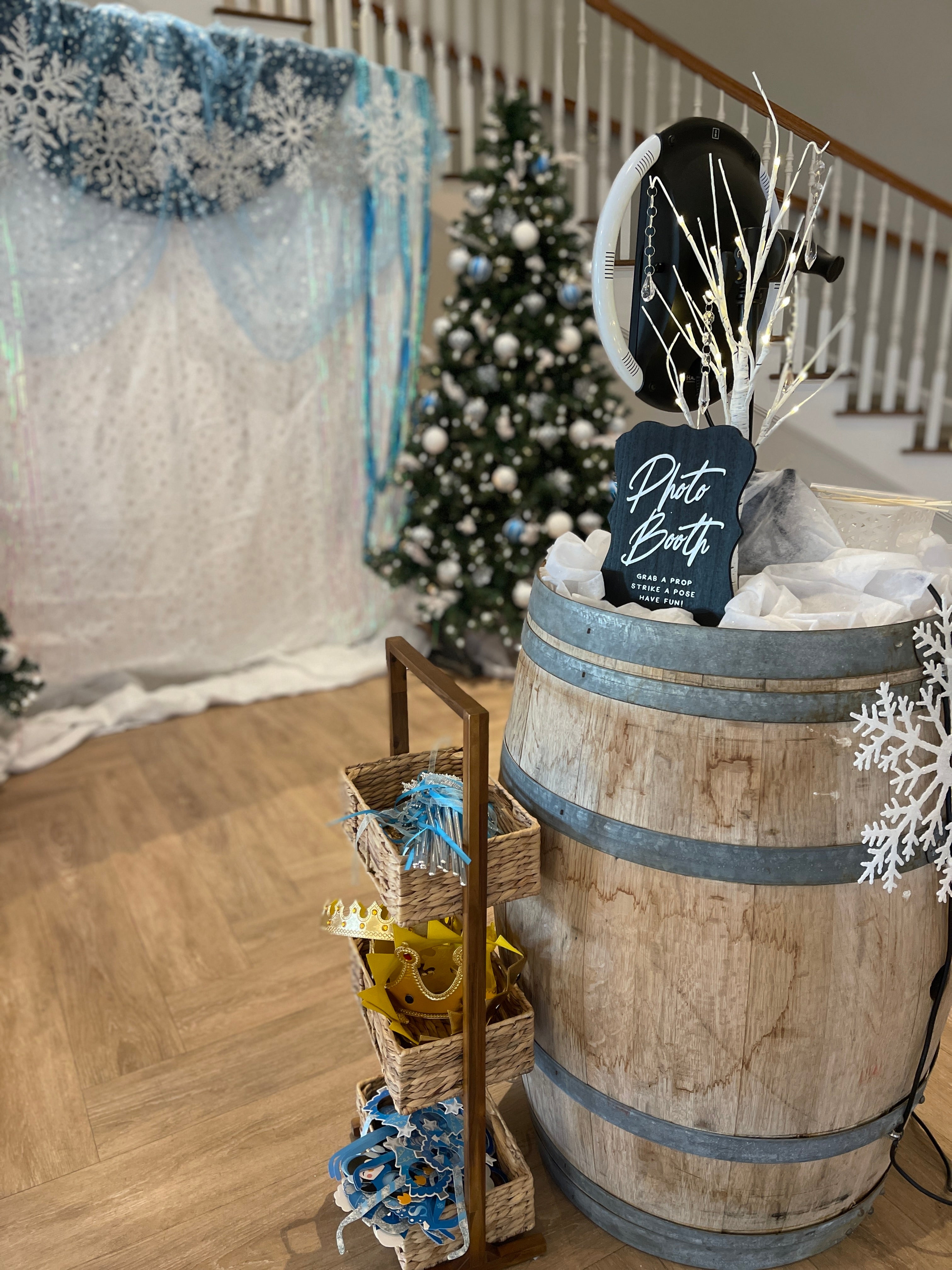 Snow & Ice Photo Backdrop